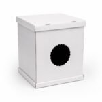 Boîte Carton Blanche Découpée