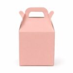 Boite Surprise 10X10X10CM
