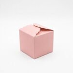 Boite Cupcake /10 Pcs